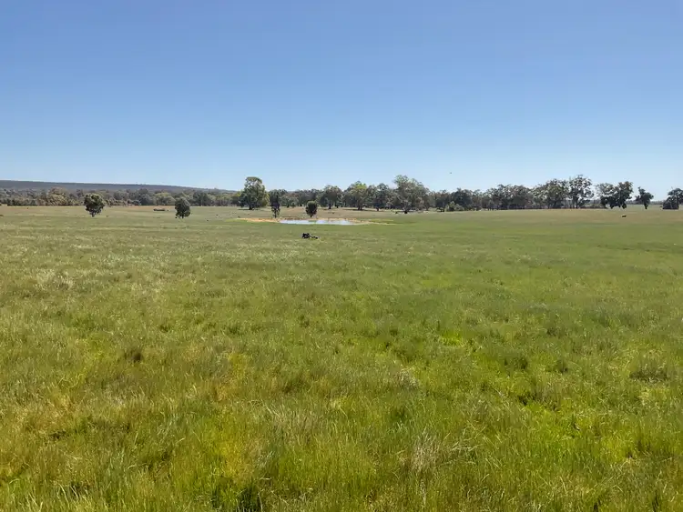 Sixth view of Homely rural property listing, 399 Henty Highway, Brimpaen VIC 3401