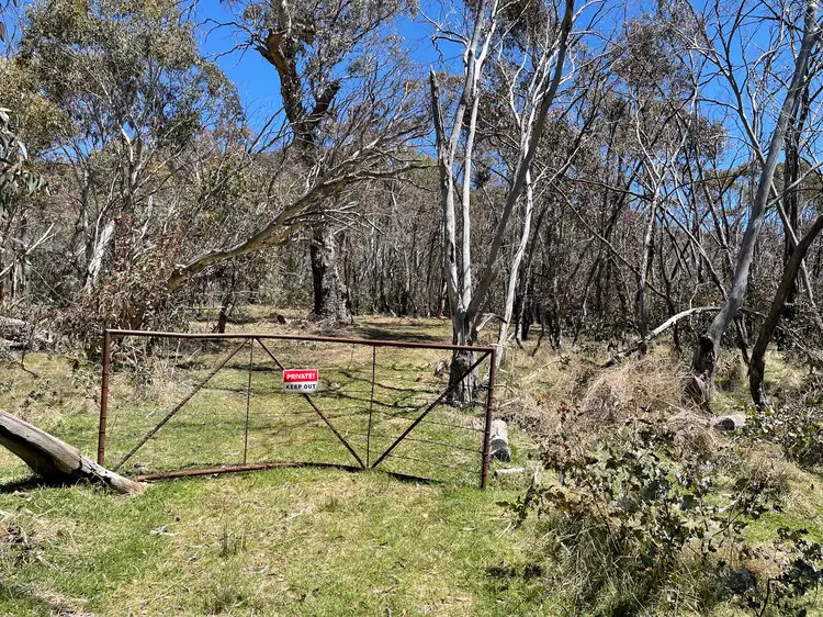 Sixth view of Homely rural property listing, 1005 Yaouk Road, Yaouk NSW 2629