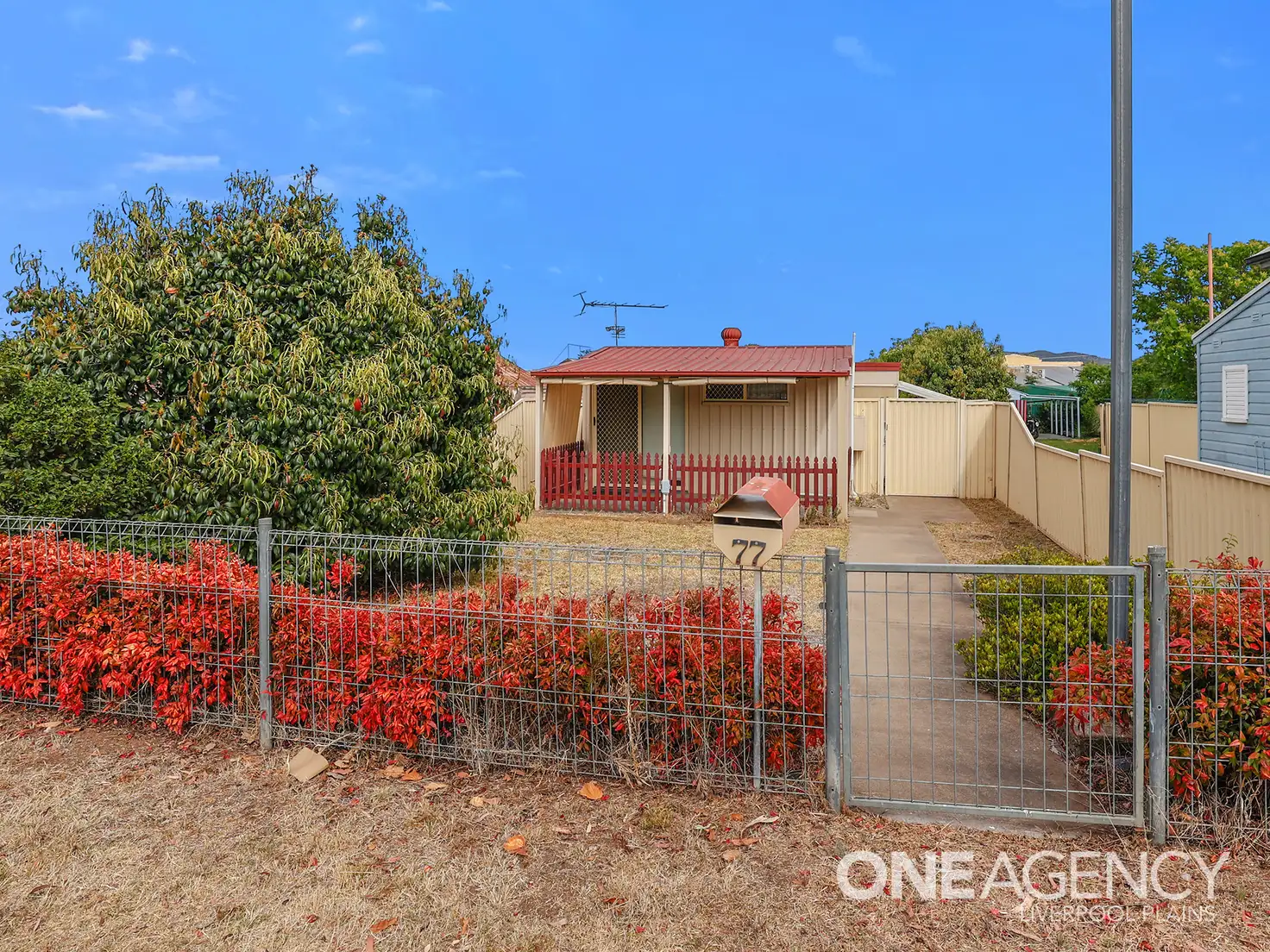 Main view of Homely house listing, 77 Henry Street, Werris Creek NSW 2341