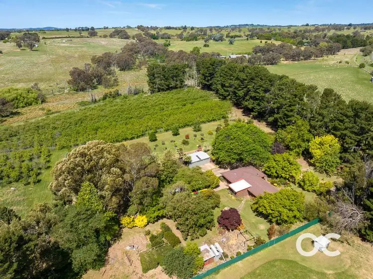 Fifth view of Homely house listing, 19 Watts Road, Borenore NSW 2800