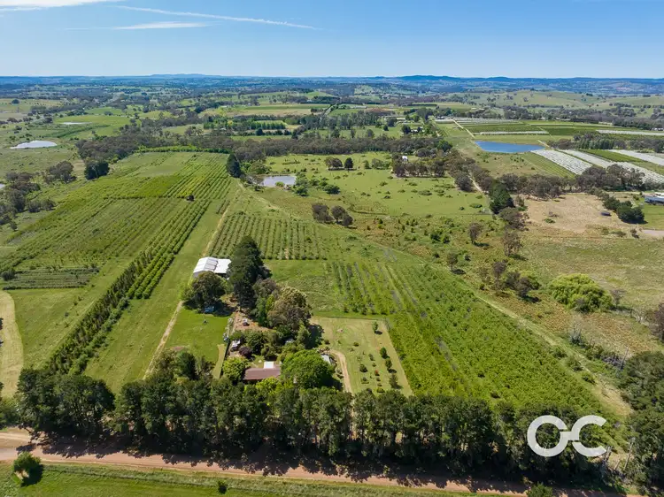 Sixth view of Homely house listing, 19 Watts Road, Borenore NSW 2800