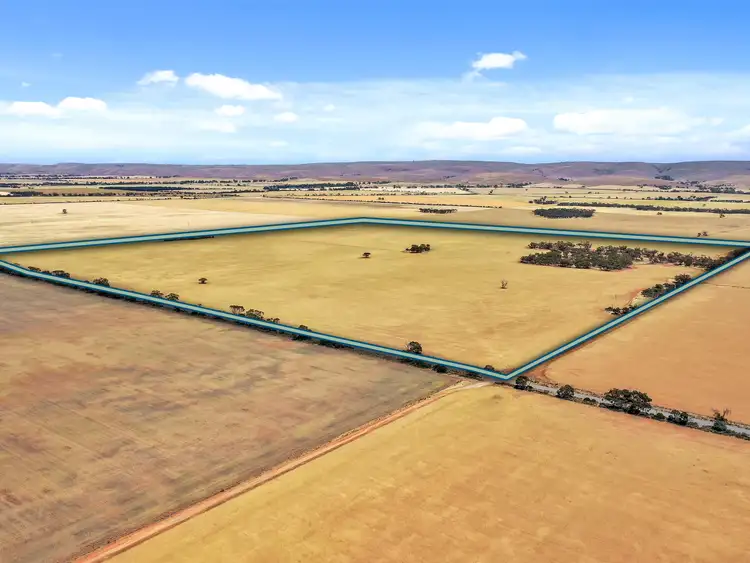 Second view of Homely rural property listing, Section 63 Whitehouse Road, Towitta SA 5353