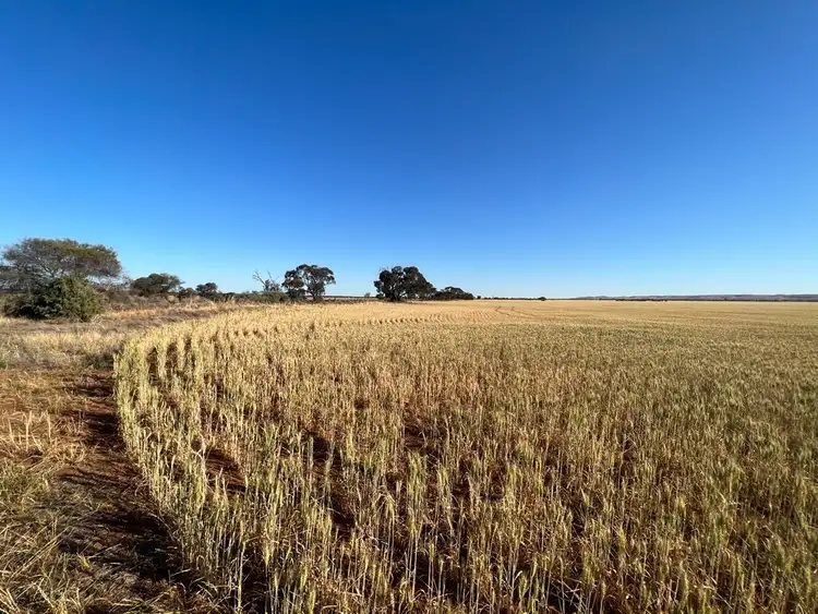 Fourth view of Homely rural property listing, Section 63 Whitehouse Road, Towitta SA 5353