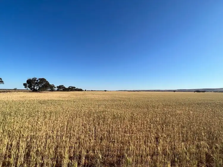 Fifth view of Homely rural property listing, Section 63 Whitehouse Road, Towitta SA 5353