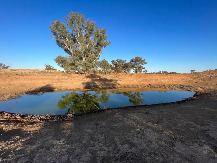 Sixth view of Homely rural property listing, Section 65 Battens Road, Sedan SA 5353