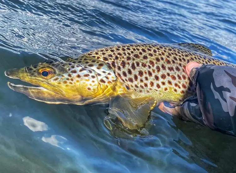 Fourth view of Homely land listing, 58 Laycock Drive, Interlaken TAS 7030