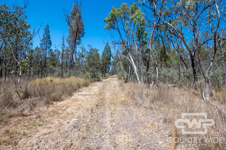Third view of Homely rural property listing, LOT 11 Old Stannifer Road, Gilgai NSW 2360