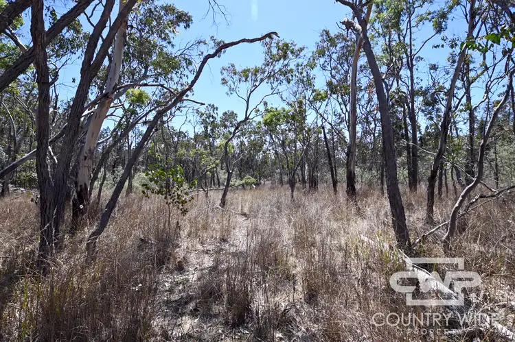 Seventh view of Homely rural property listing, LOT 11 Old Stannifer Road, Gilgai NSW 2360