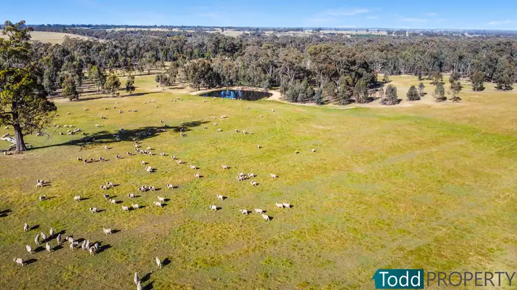 Third view of Homely rural property listing, Lot 2 Murphys Lane, Toolleen VIC 3551