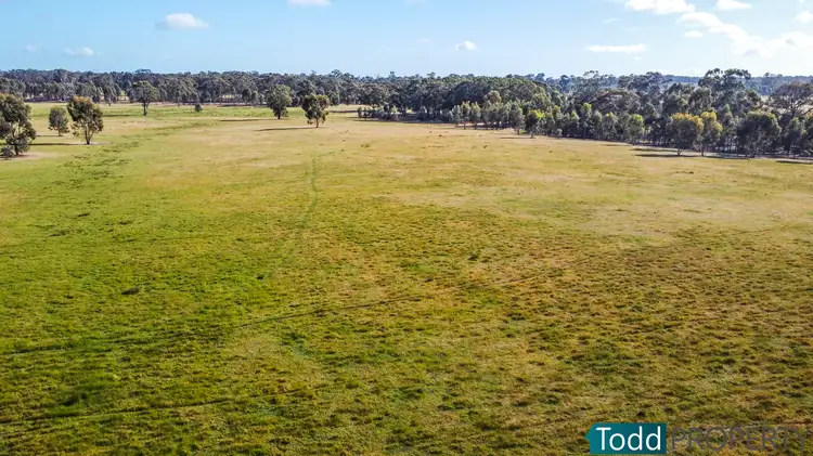 Fifth view of Homely rural property listing, Lot 2 Murphys Lane, Toolleen VIC 3551