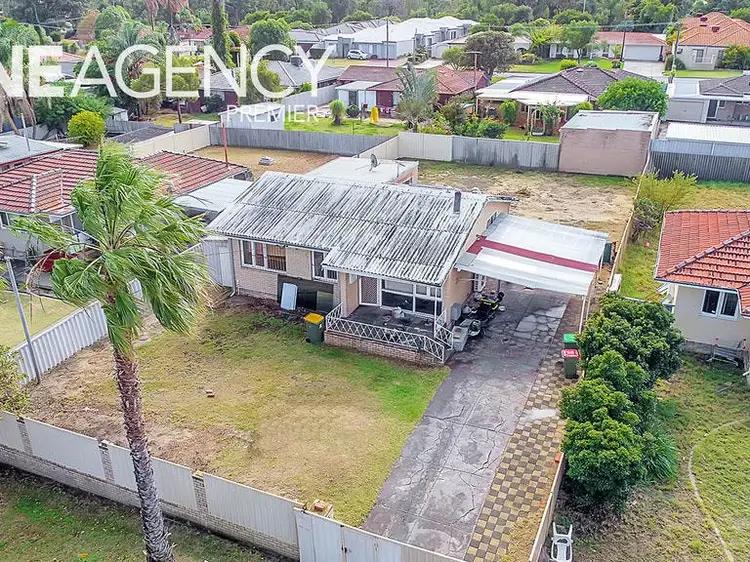Main view of Homely house listing, 17 Kenwick Way, Balga WA 6061