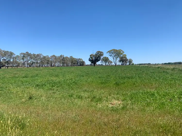 Main view of Homely rural property listing, 183 Guys Road, Calivil VIC 3573