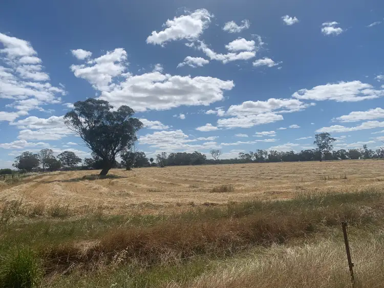 Second view of Homely rural property listing, 183 Guys Road, Calivil VIC 3573