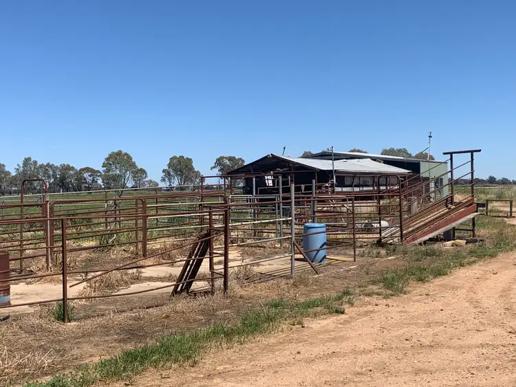 Fifth view of Homely rural property listing, 183 Guys Road, Calivil VIC 3573