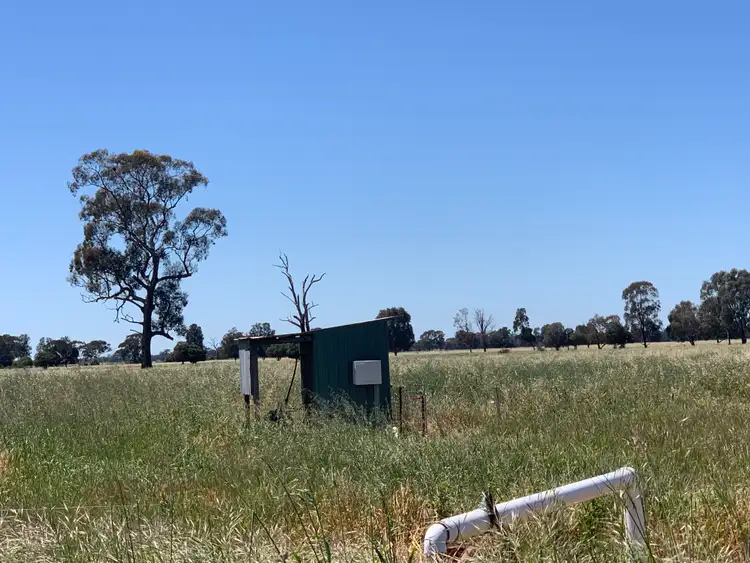 Sixth view of Homely rural property listing, 183 Guys Road, Calivil VIC 3573