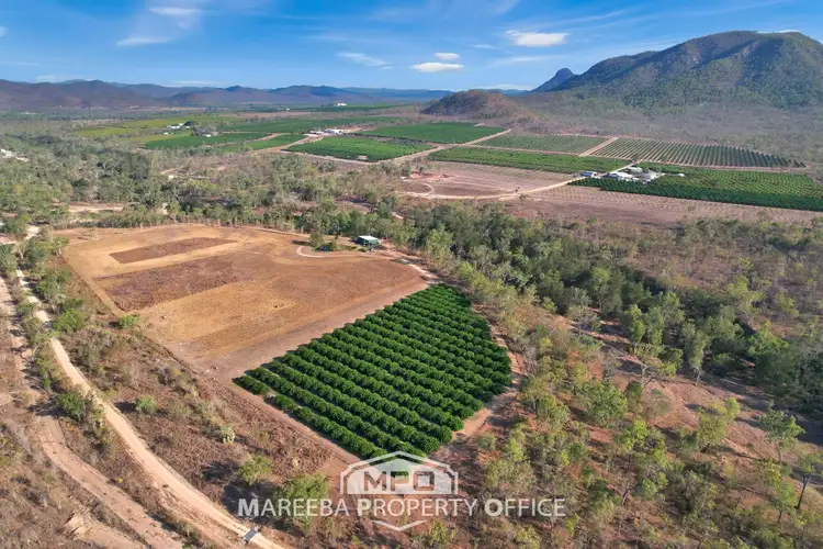 LOT 107 Burke Developmental Road, Dimbulah QLD 4872