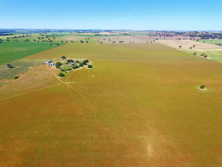 Second view of Homely rural property listing, 131 Casleys Lane, Berry Jerry NSW 2701