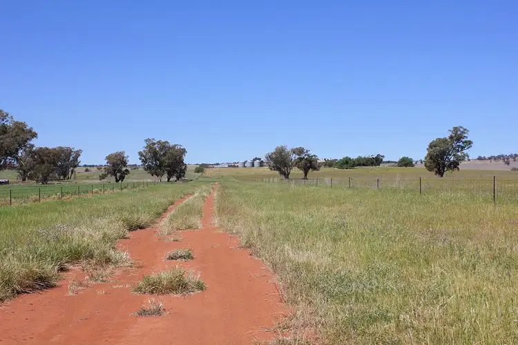 Fifth view of Homely rural property listing, 131 Casleys Lane, Berry Jerry NSW 2701