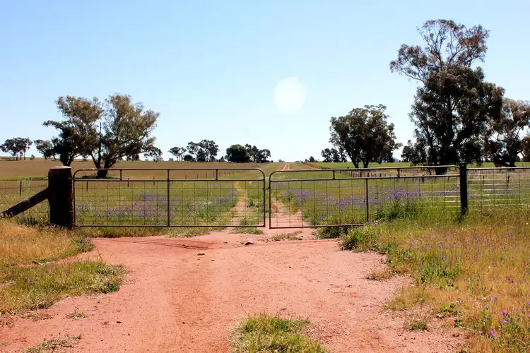 Sixth view of Homely rural property listing, 131 Casleys Lane, Berry Jerry NSW 2701