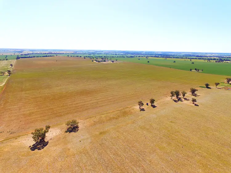 Seventh view of Homely rural property listing, 131 Casleys Lane, Berry Jerry NSW 2701