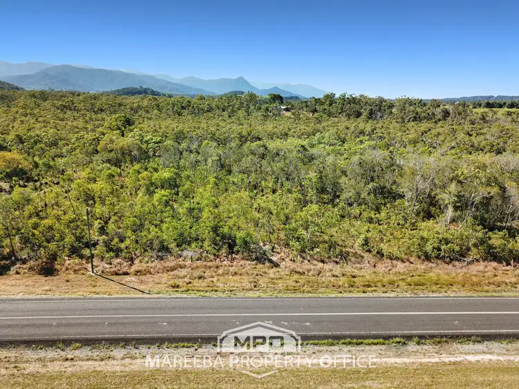 Seventh view of Homely rural property listing, LOT 2 Euluma Creek Road, Julatten QLD 4871