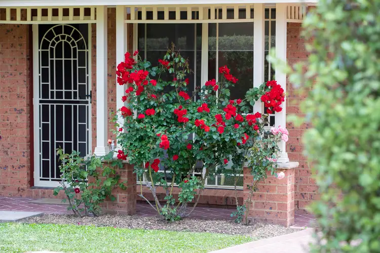 Second view of Homely house listing, 57 Isabella Way, Bowral NSW 2576