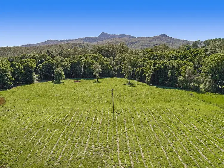 Second view of Homely rural property listing, 1 Back Creek Road, Brays Creek NSW 2484
