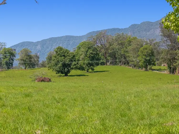 Third view of Homely rural property listing, 1 Back Creek Road, Brays Creek NSW 2484