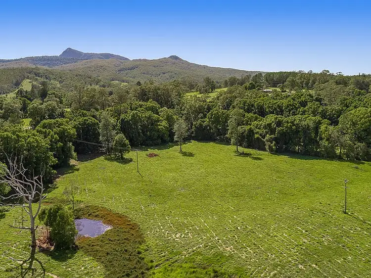 Seventh view of Homely rural property listing, 1 Back Creek Road, Brays Creek NSW 2484