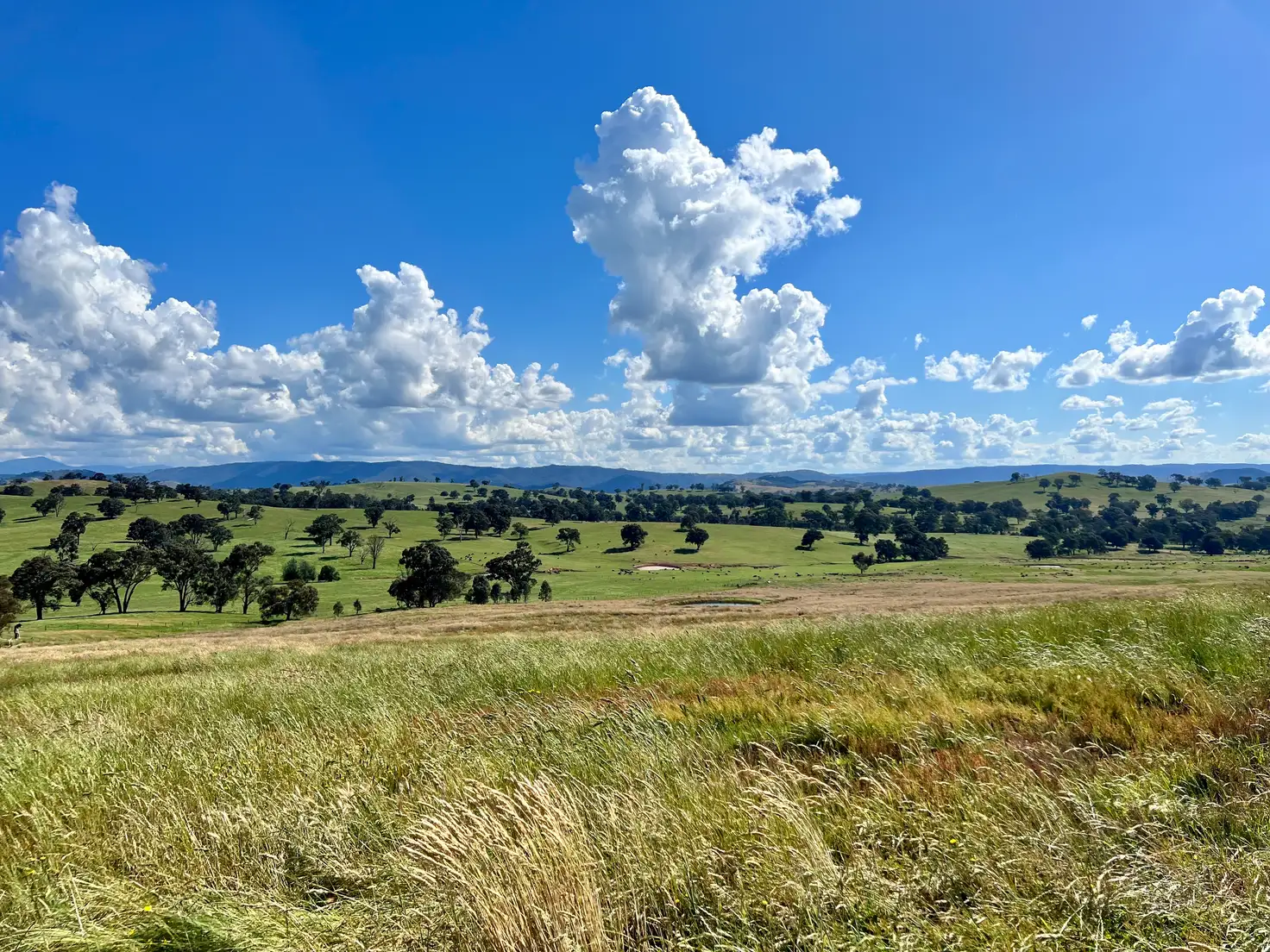 Main view of Homely land listing, 161 Owens Creek Drive, Mansfield VIC 3722