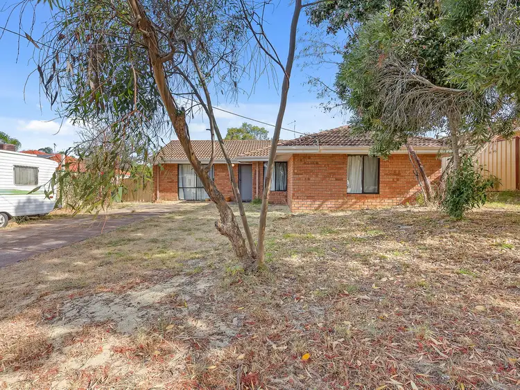 Second view of Homely house listing, 19 MACALISTER GARDENS, Mirrabooka WA 6061