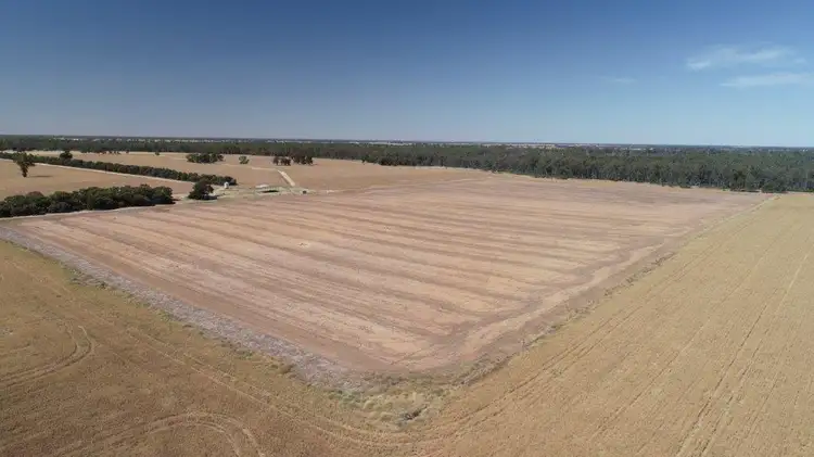 Second view of Homely rural property listing, 159 LOWER THULE ROAD, Barham NSW 2732