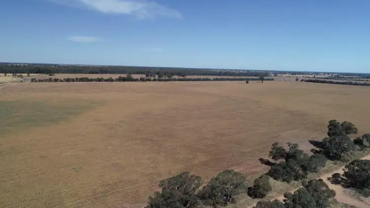 Fifth view of Homely rural property listing, 159 LOWER THULE ROAD, Barham NSW 2732