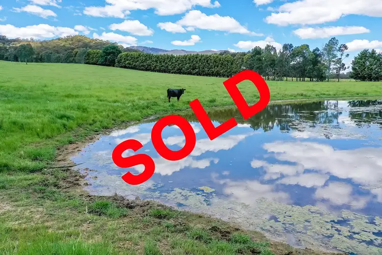 1408 Oldina Road, Oldina TAS 7325