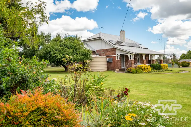 Third view of Homely house listing, 19 Simpson Street, Deepwater NSW 2371