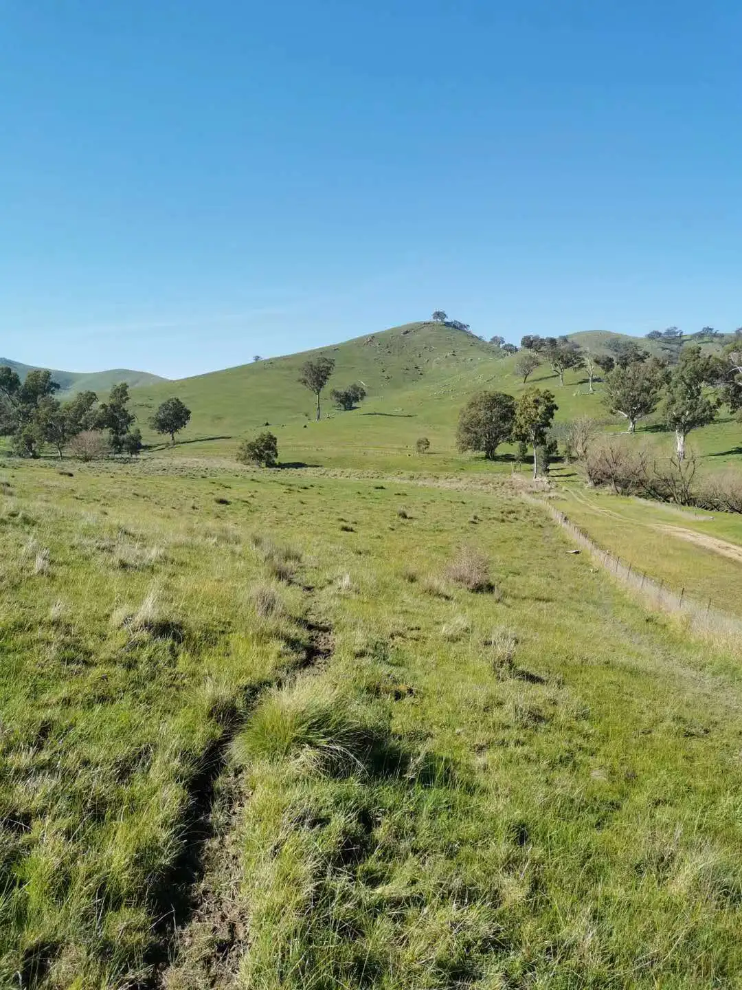 Main view of Homely rural property listing, 96 Taits Lane, Yarck VIC 3719