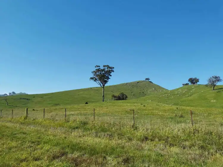 Second view of Homely rural property listing, 96 Taits Lane, Yarck VIC 3719