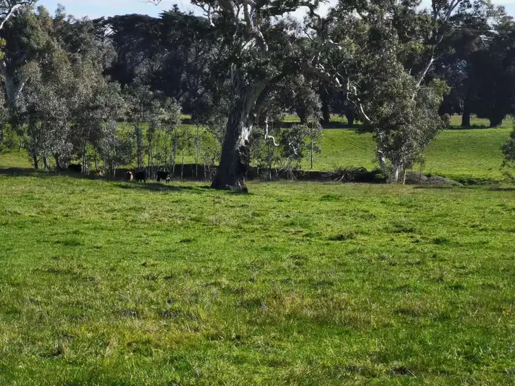 Third view of Homely rural property listing, 96 Taits Lane, Yarck VIC 3719