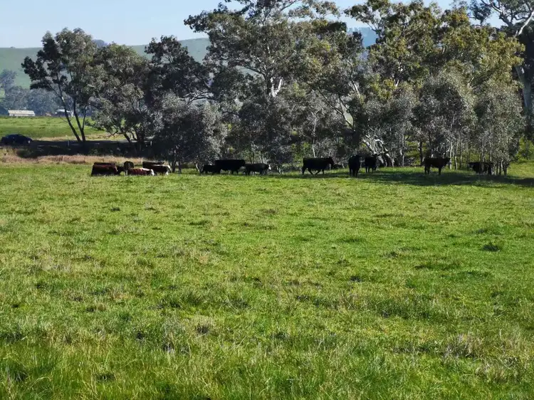 Fourth view of Homely rural property listing, 96 Taits Lane, Yarck VIC 3719