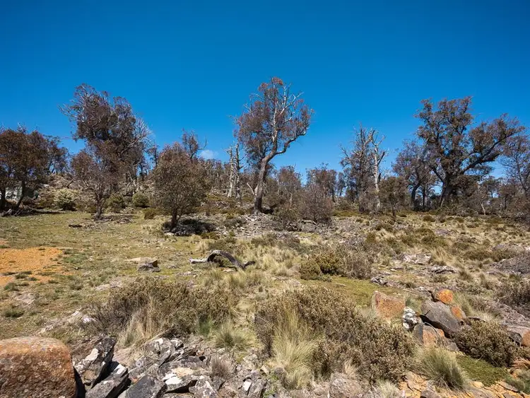 Seventh view of Homely land listing, 15 Lochiel Drive, Miena TAS 7030