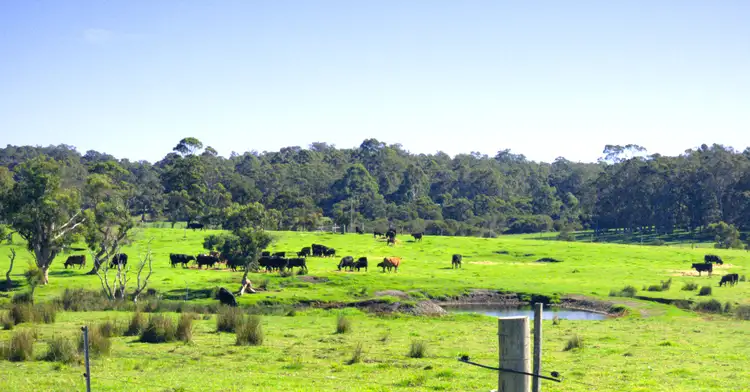 Main view of Homely rural property listing, 10 Walter Pierce Road, Hazelvale WA 6333