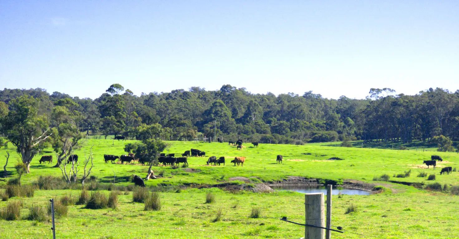 Main view of Homely rural property listing, 10 Walter Pierce Road, Hazelvale WA 6333