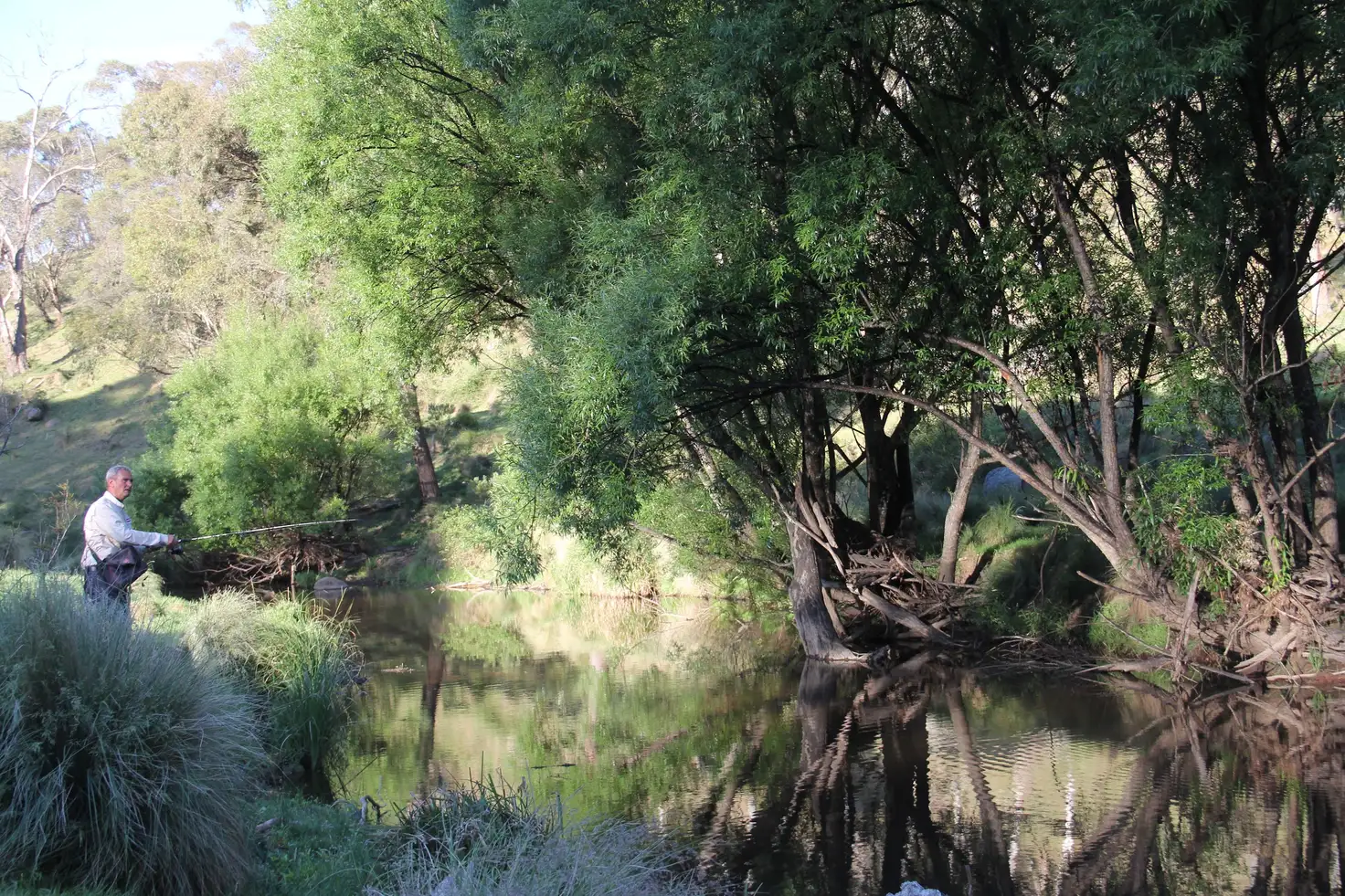 Main view of Homely house listing, 283 Ferndale Road, Oberon NSW 2787