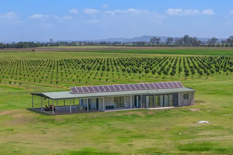 Main view of Homely rural property listing, 520 Forest Road, Buckendoon NSW 2472