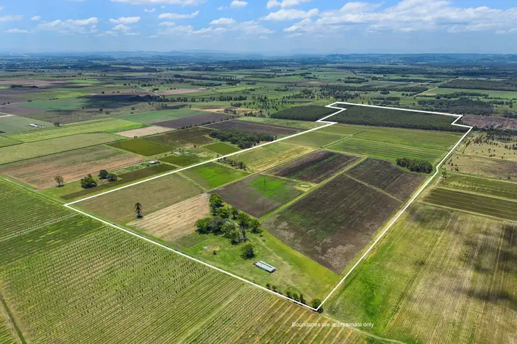 Fifth view of Homely rural property listing, 520 Forest Road, Buckendoon NSW 2472
