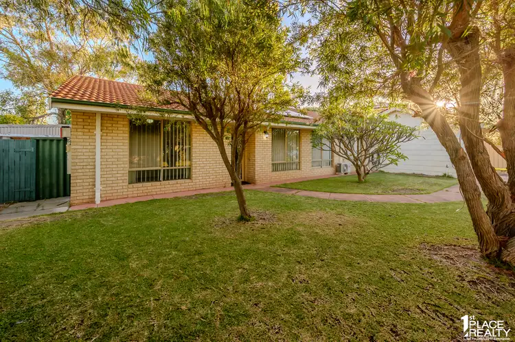 Second view of Homely house listing, 41 Cuthbertson Drive, Cooloongup WA 6168