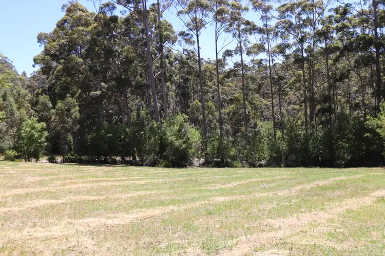 Fifth view of Homely land listing, 136 CUSSONS ROAD, Shadforth WA 6333