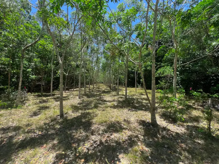 Fourth view of Homely land listing, 506 Cameron Creek Road, Cooktown QLD 4895
