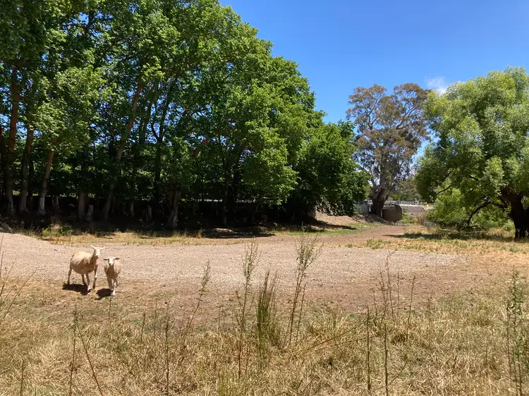 Fourth view of Homely land listing, 97 Mawson Road, Meadows SA 5201