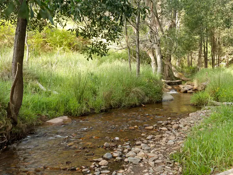 Second view of Homely rural property listing, 124 Wild Dog Road, Merrijig VIC 3723